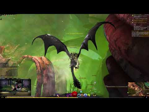 Gw2 - Zero to Hero in 1 hour