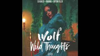 Santana &amp; DJ Khaled &amp; Rihanna &amp; N&#39;Joy - Wild Thoughts (WOLF mashup)