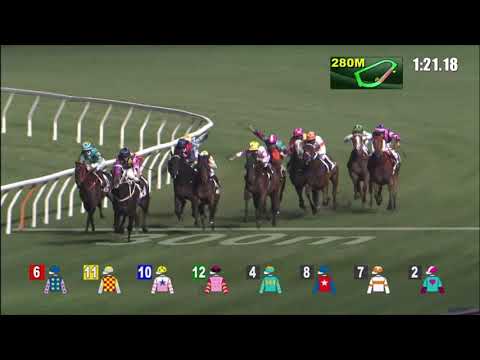 23/12/2020 (287) Incanto Prepared - J Moreira