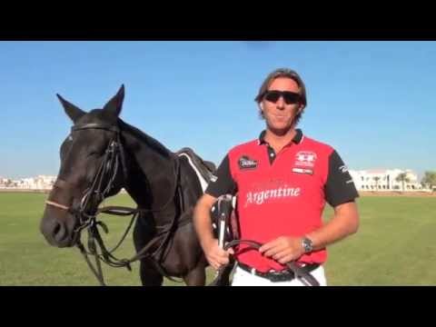 Learn how to play polo, The Essential Guide by Steve Thompson.