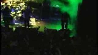 The Haunted - In Vein (Live)