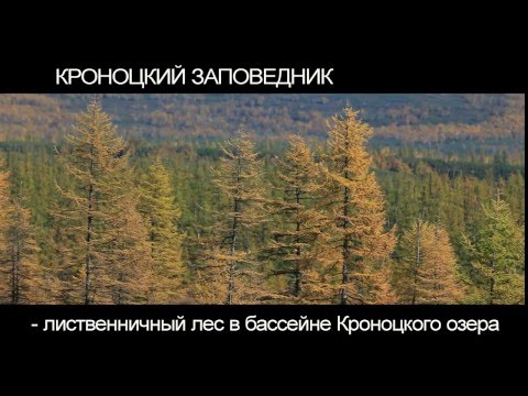 Дикая природа Камчатки - Кроноцкий запов