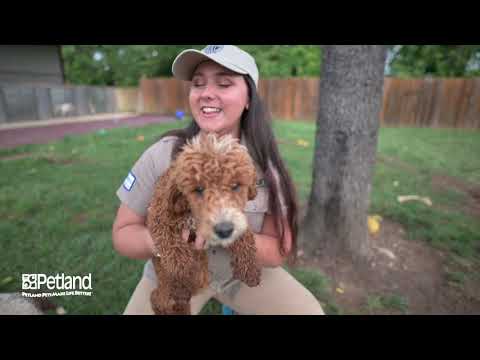 Kennel Tour 149