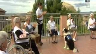preview picture of video 'Terapia para personas mayores con animales en Estadilla -Asoc. Sanesval-'