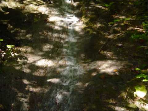 Adi Bogdan si Cosmin-Pleaca-ti urechea.wmv