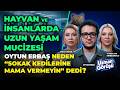 Gizli Tehlike.. Ev Yemeği mi, Hazır Mama mı? Evcil Hayvanınızı Uzun Yaşatmanın Formülü.. Hande Mutlu DEFAULT Thumbnail