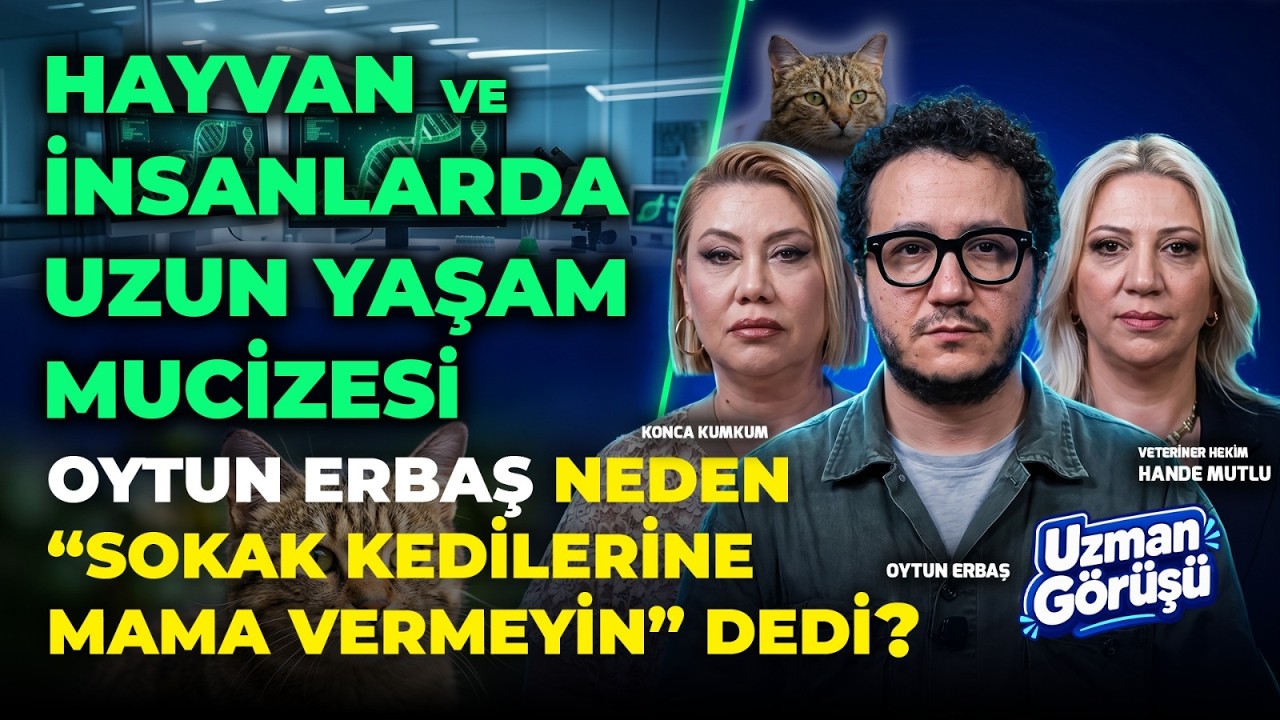 GİZLİ TEHLİKE! Ev Yemeği mi, Hazır Mama mı? Evcil Hayvanınızı Uzun Yaşatmanın Formülü! | Hande Mutlu
