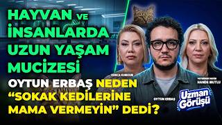 Gizli Tehlike.. Ev Yemeği mi, Hazır Mama mı? Evcil Hayvanınızı Uzun Yaşatmanın Formülü.. Hande Mutlu MQDEFAULT Thumbnail