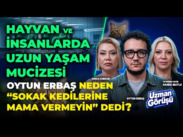 Gizli Tehlike.. Ev Yemeği mi, Hazır Mama mı? Evcil Hayvanınızı Uzun Yaşatmanın Formülü.. Hande Mutlu SDDEFAULT Thumbnail