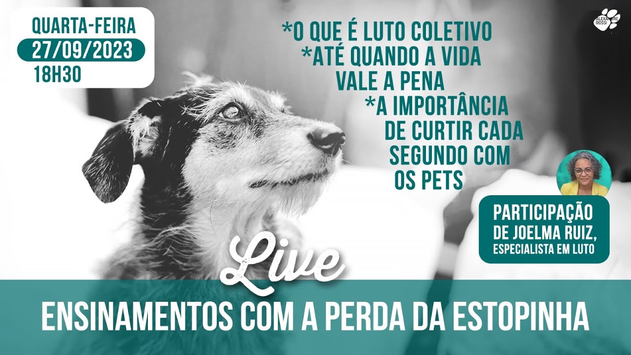 LIVE - Ensinamentos com a perda da Estopinha