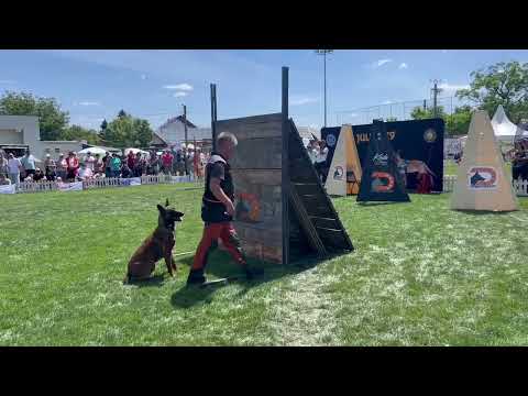Dogmaster Jucu 2024 Ionut & Rocky 26.05