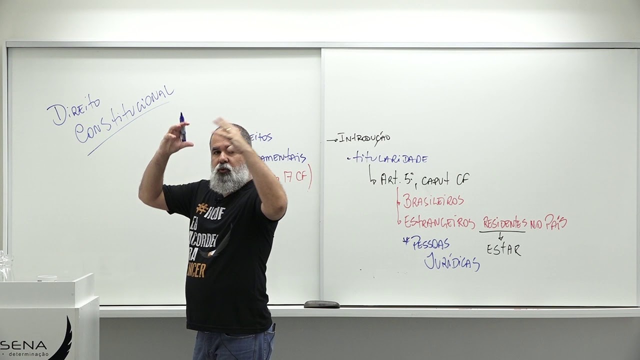 Direito Constitucional | Titulares dos Direitos Fundamentais | Daniel Sena
