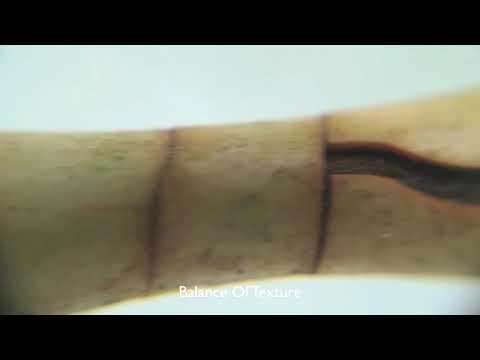 Beatamines, Johan Mila - Balance of Texture (Traum 243)