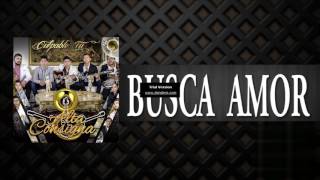 Alta Consigna - Busca Amor Estudio 2016