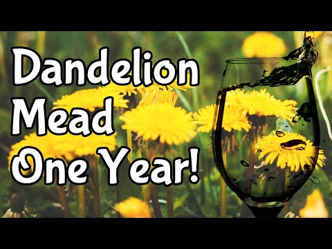 Dandelion Mead One Year Tasting