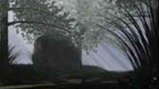 Movetron - Omia Polkujaan