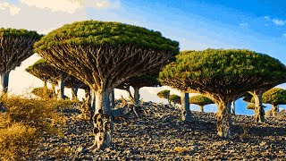 Os Lugares Escondidos Mais Incríveis do Mundo COLOQUE SEU FONE!