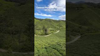 【2025】マレーシア🇲🇾一人旅 キャメロンハイランド #malaysia #cameronhighlands #マレーシア #キャメロンハイランド