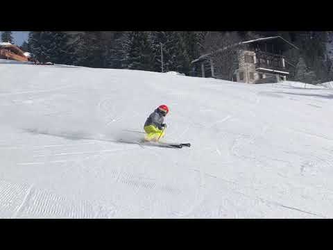 Ski carving interno leader