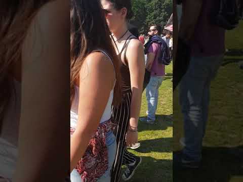 Pollerwiesen 2018 booooombee