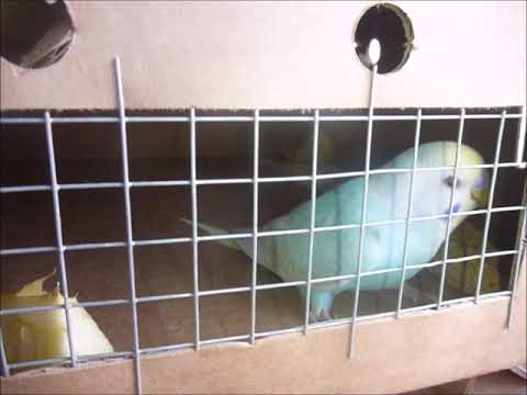 2019 05 27 Letzter Boxenblick