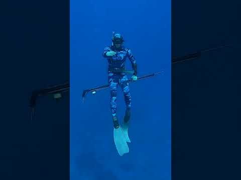 Spearfishing in Fiji: Rotuma Part 2 #spearfishing #fiji #rotuma
