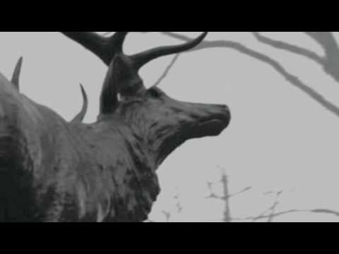 Agalloch - You Were But A Ghost In My Arms (with lyrics)