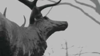 Agalloch - You Were But A Ghost In My Arms (with lyrics)