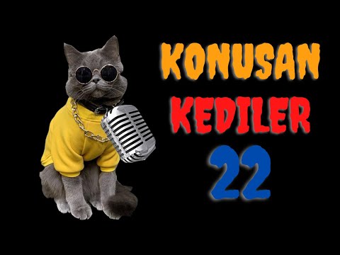 Konuşan Kediler 22 | En Komik Kedi Videoları | Dublaj Kedi
