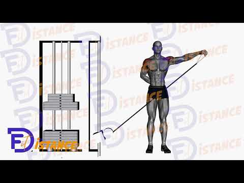 Exercice Élévations latérales à la poulie basse