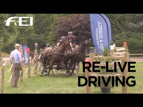 RE-LIVE - Driving Valkenswaard International 2017 - Marathon