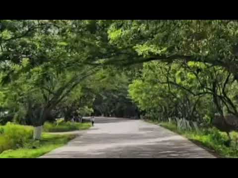Este paisaje es el Bello túnel de Guanacaste se encuentra en Jesús de otoro en intibucá HONDURAS
