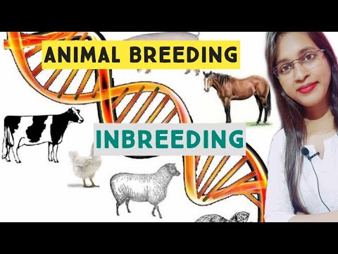 Animal Breeding (Inbreeding ) full notes || Animal Husbandry