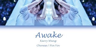 Karry Wang (王俊凯) - Awake (醒着)Lyrics (Chinese/Pin Yin)