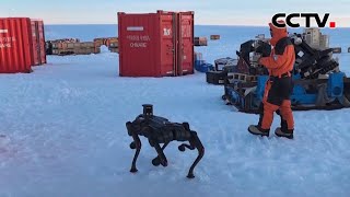 Re: [問卦] 中國無人機是真的厲害嗎?