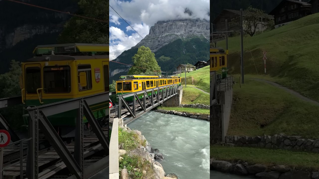 YouTube Short thumbnail