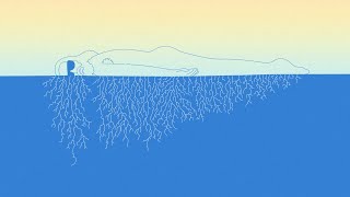 Sébastien Tellier - Stuck in a Summer Love (Official Video)