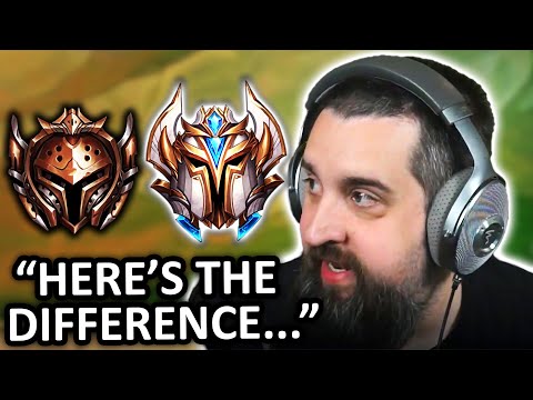 Mortdog Tft