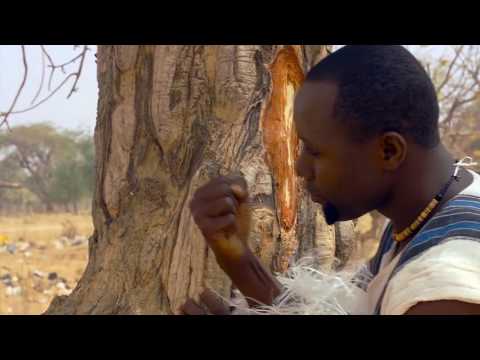 Official NAYI NERE  - BIBERE