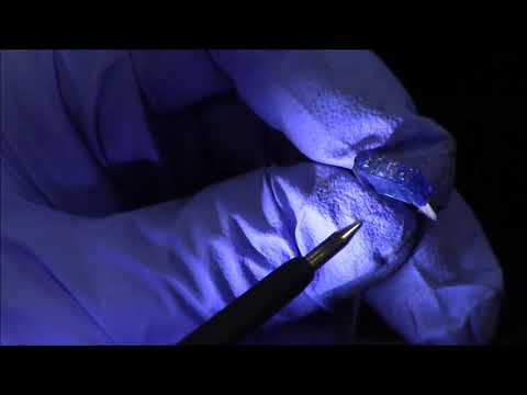 How to Check Fuses (Tigrinia Version)