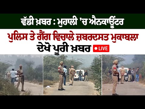 Big News : Mohali 'ਚ Encounter, Police ਤੇ Gang ਵਿਚਾਲੇ ਜ਼ਬਰਦਸਤ ਮੁਕਾਬਲਾ