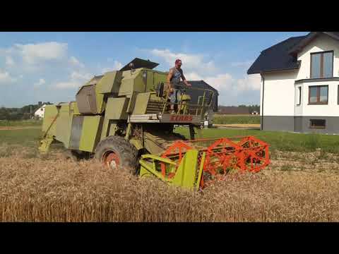 Żniwa 2020 Claas Mercator 70