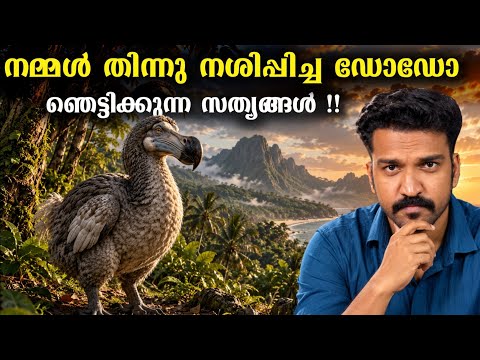 YouTube Video OuSUmE56rws