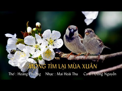 Mong tìm lại mùa xuân - Đông Nguyễn