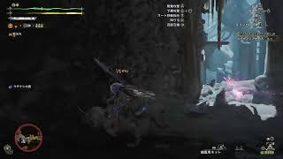 # 11 (Monster Hunter Wilds / モンスターハンターワイルズ ) 初見さん歓迎 初心者さん歓迎 素材集め 装備考察