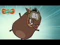 Summer Holiday Begins Zip Zip English Full Episodes 3H S2 Cartoon For Kids