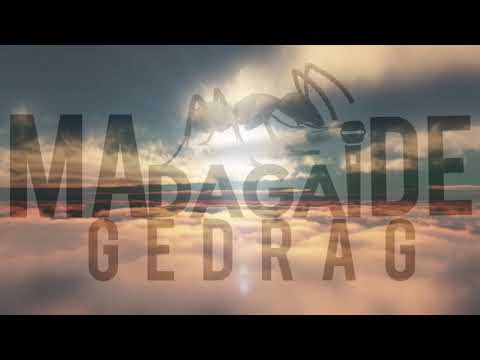 Trapsen T - fosi judge