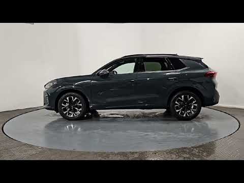 Cupra Terramar 1.5eTSI 150HP DSG - Image 2