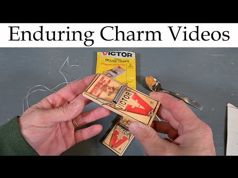 Advanced Mouse Trap Tips And Tricks