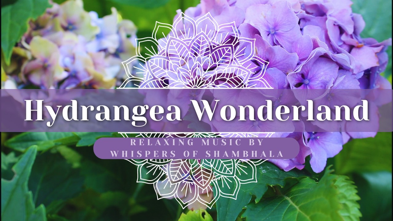 ᛉ Hydrangea Wonderland ᛉ | Whispers of Shambhala ᛉ